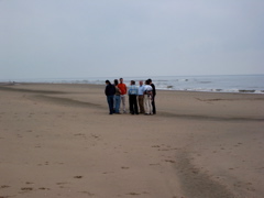 Frühaufsteher am Strand